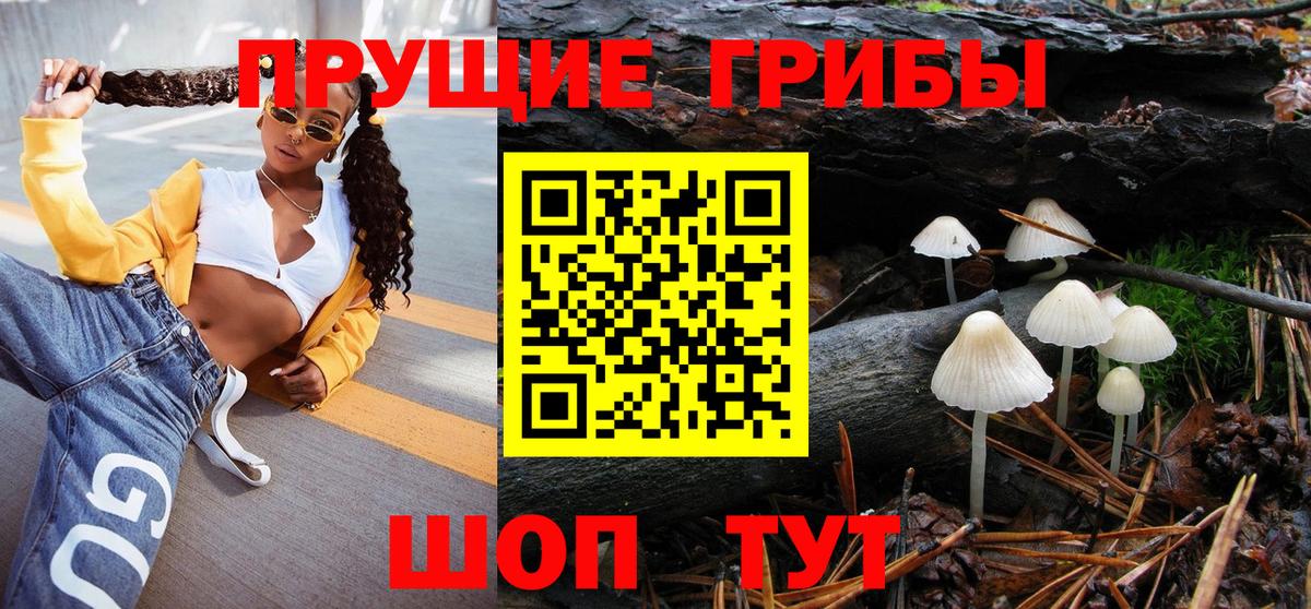 Псилоцибиновые грибы Psilocybine cubensis Баксан